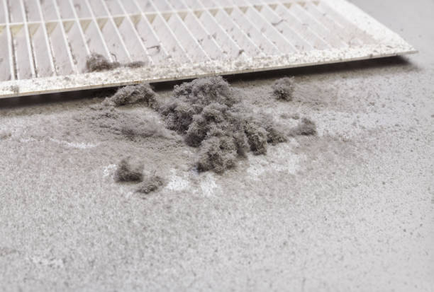 Best Commercial Air Duct Cleaning  in Cedar Grove, FL