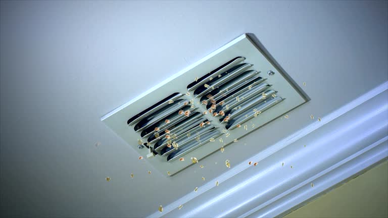 Best Ductwork Cleaning Services  in Cedar Grove, FL