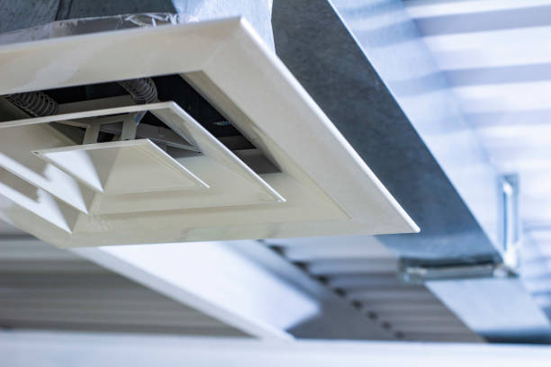 Best Local Air Duct Cleaning Services  in Cedar Grove, FL
