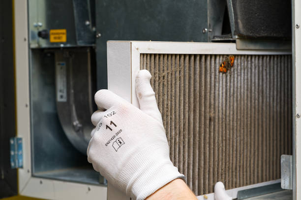Best Best Air Duct Cleaning Company  in Cedar Grove, FL