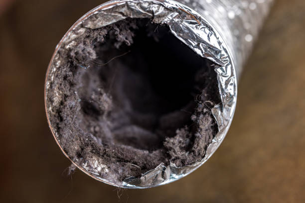 Best Residential Air Duct Cleaning  in Cedar Grove, FL
